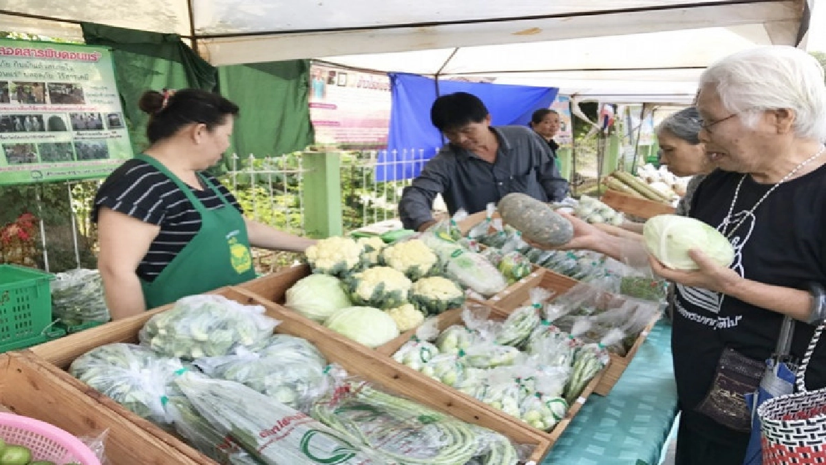 หนุน 7 จังหวัดนำร่องตลาดเกษตรกร !!! หนุน 7 จังหวัดนำร่องตลาดเกษตรกร !!!
