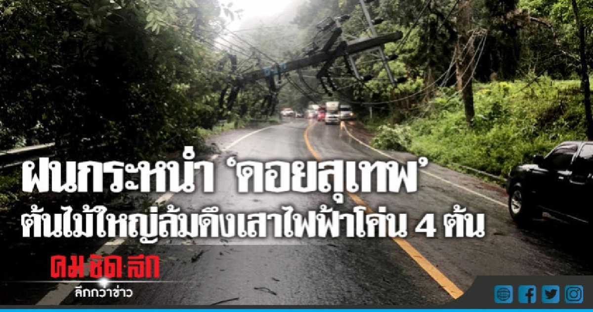 ฝนกระหน่ำ"ดอยสุเทพ"ต้นไม้ใหญ่ล้มดึงเสาไฟฟ้าโค่น4ต้น