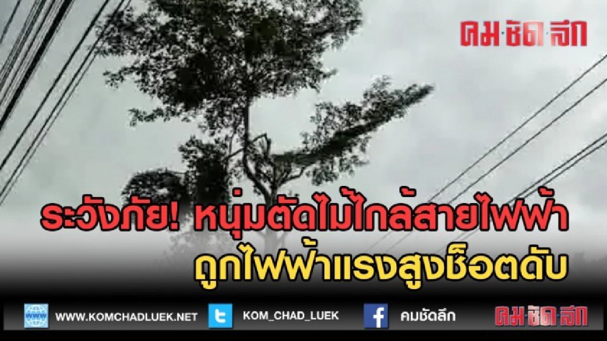 (คลิปข่าว) หนุ่มตัดไม้ไกล้สายไฟฟ้า ถูกไฟฟ้าแรงสูงช็อตดับ