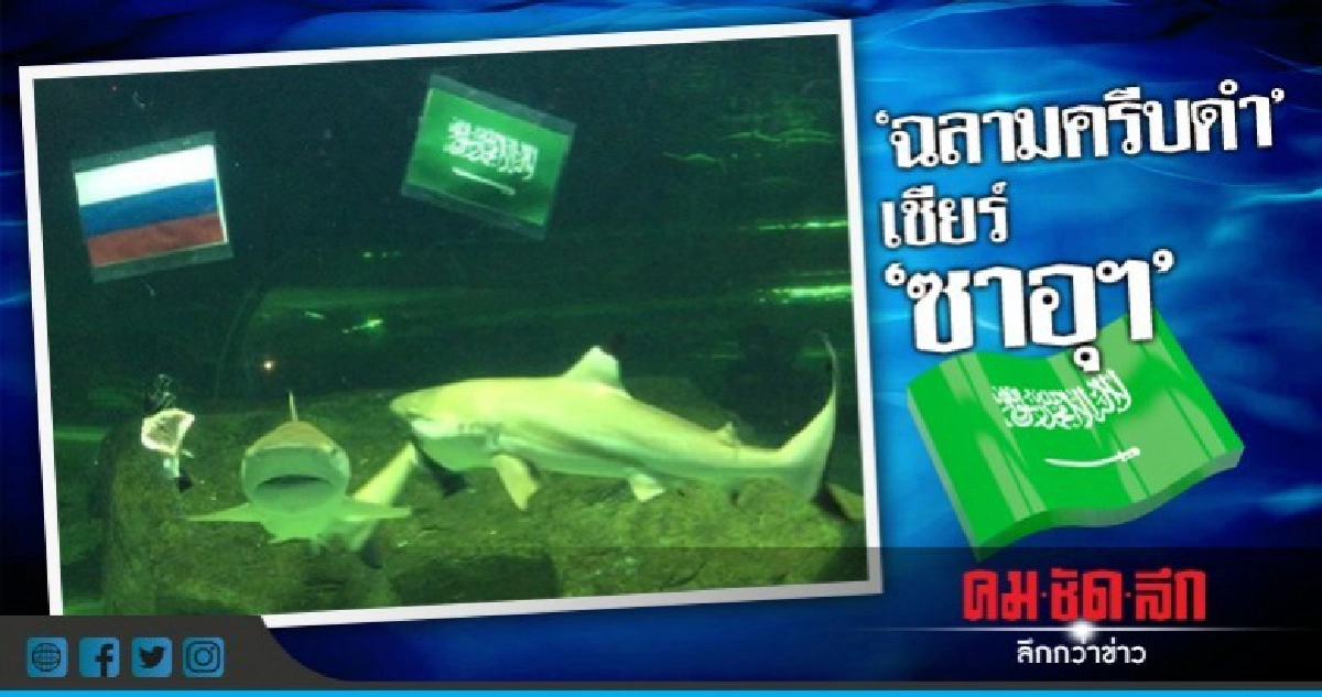 สีสัน! "ฉลามครีบดำ" ทายซาอุฯ ชนะ รัสเซีย
