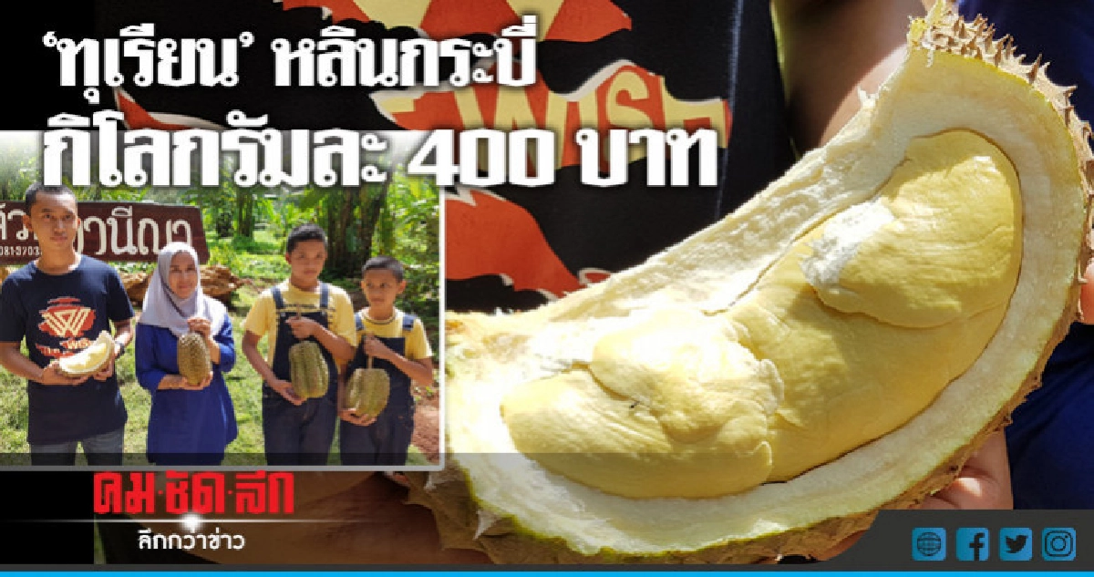 "ทุเรียน"หลินกระบี่เนื้อหนา-หวานมัน-ไร้เมล็ดกก.ละ400บาท "ทุเรียน"หลินกระบี่เนื้อหนา-หวานมัน-ไร้เมล็ดกก.ละ400บาท