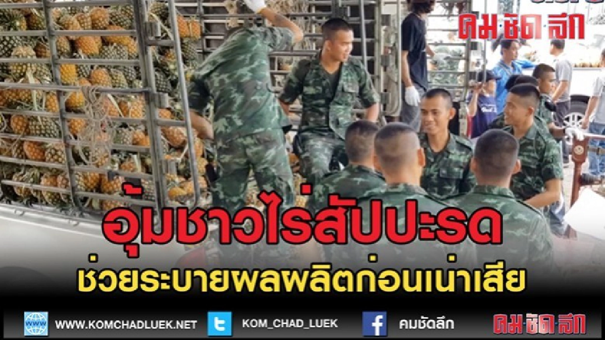 (คลิปข่าว)อุ้มชาวไร่สัปปะรด ช่วยระบายผลผลิตก่อนเน่าเสีย