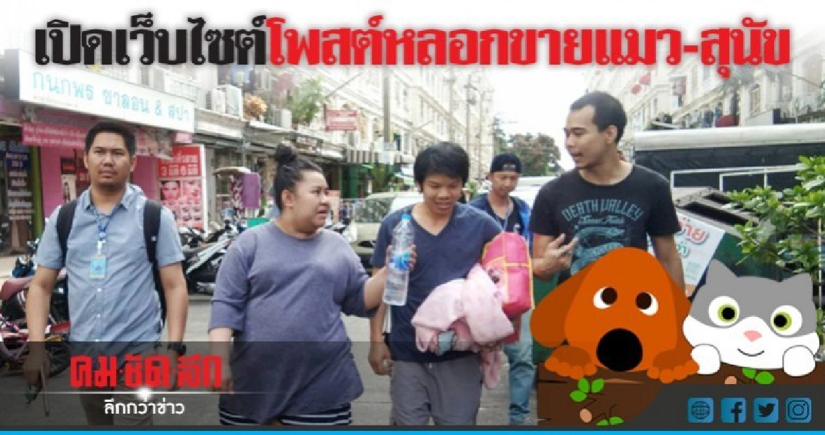 รวบ"ผัว-เมีย"แสบตุ๋นขาย"แมว-สุนัข"ออนไลน์