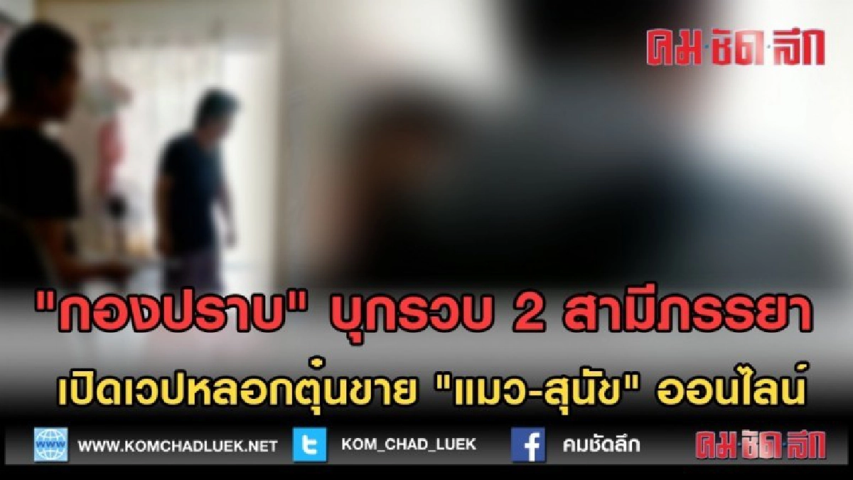 (คลิปข่าว) บุกรวบ 2 สามีภรรยา เปิดเวปหลอกตุ๋นขาย "แมว-สุนัข"