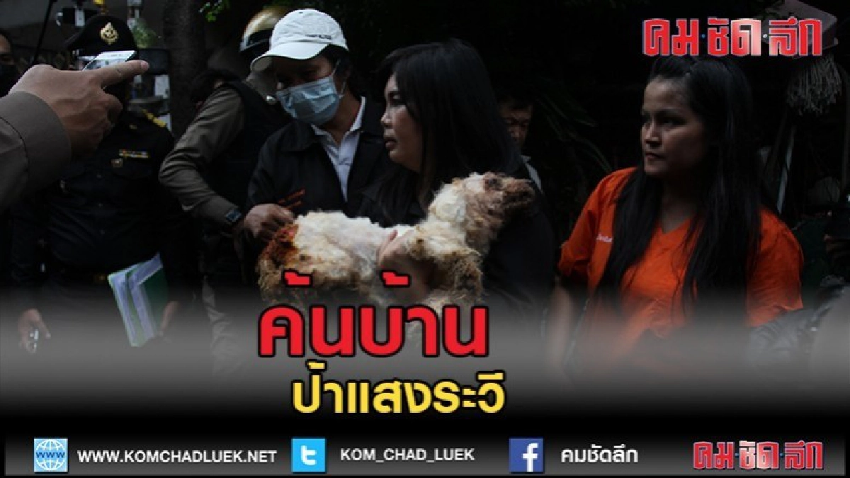 (คลิปข่าว)ค้นบ้าน "ป้าแสงระวี"พบสุนัข 29 ตัว มีสุขภาพแข็งแรง