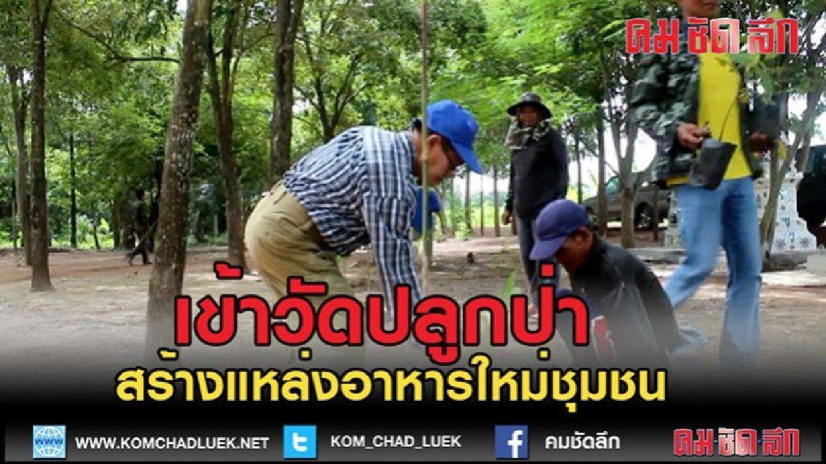 (คลิปข่าว)ชวนกันเข้าวัดปลูกป่าสร้างแหล่งอาหารใหม่ชุมชน