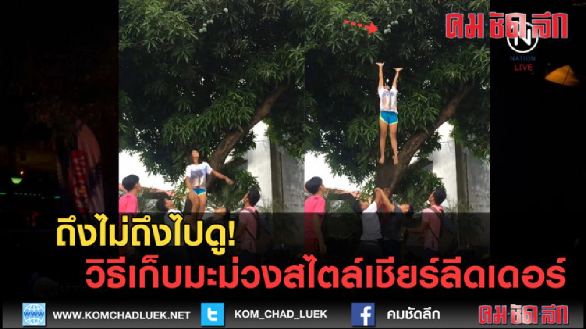 (คลิปข่าว) ถึงไม่ถึง!! วิธีเก็บมะม่วงสไตล์เชียร์ลีดเดอร์ (คลิปข่าว) ถึงไม่ถึง!! วิธีเก็บมะม่วงสไตล์เชียร์ลีดเดอร์