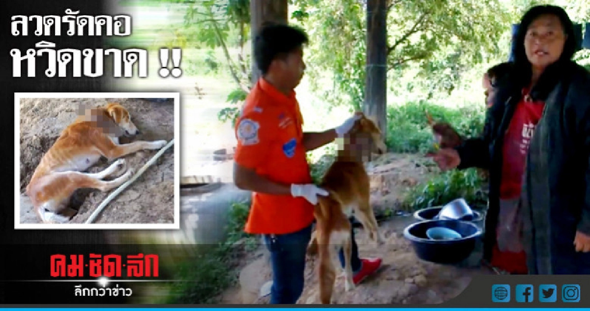 นาทีชีวิต !! ช่วยหมาถูกลวดรัดคอ