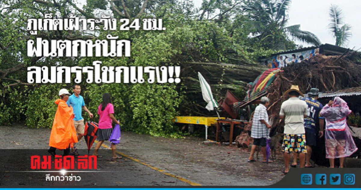 ฝนถล่ม!! ภูเก็ต ต้นไทร 100 ปีโค่น ขวางถนน ฝนถล่ม!! ภูเก็ต ต้นไทร 100 ปีโค่น ขวางถนน