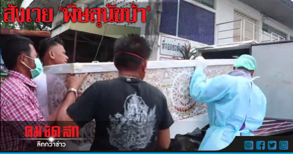 ผวา !! หมาบ้ากัดหนุ่มรับเหมาตาย