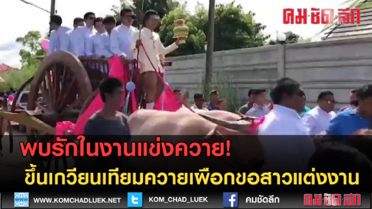 (คลิปข่าว) ขึ้นเกวียนเทียมควายเผือกขอสาวแต่งงานแทนเก๋งคันงาม (คลิปข่าว) ขึ้นเกวียนเทียมควายเผือกขอสาวแต่งงานแทนเก๋งคันงาม