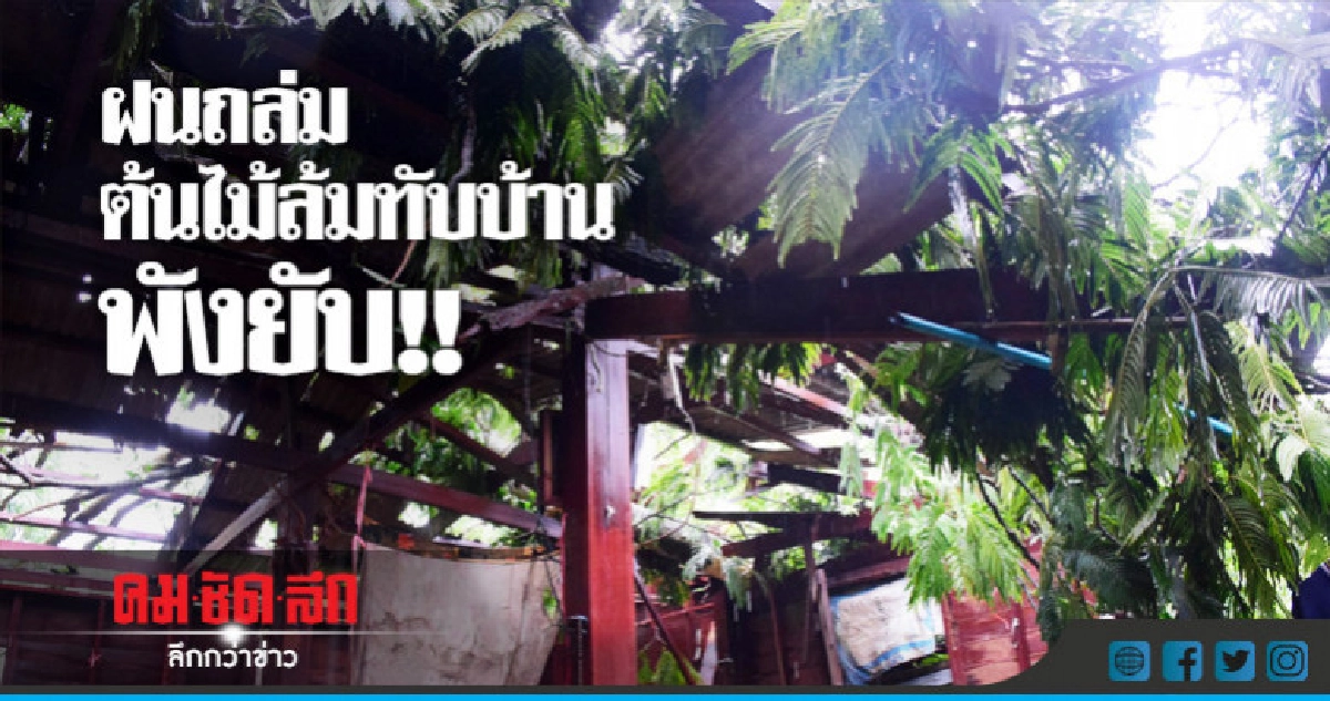 ฝนตกหนักลมแรงต้นไม้ล้มทับบ้านพัง