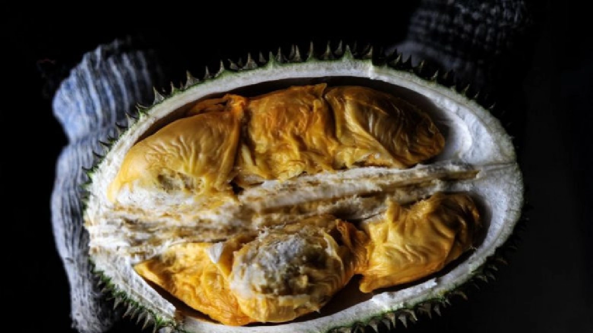 มาเลเซียเล็งส่งทุเรียนทั้งลูกไปแดนมังกรปีหน้า