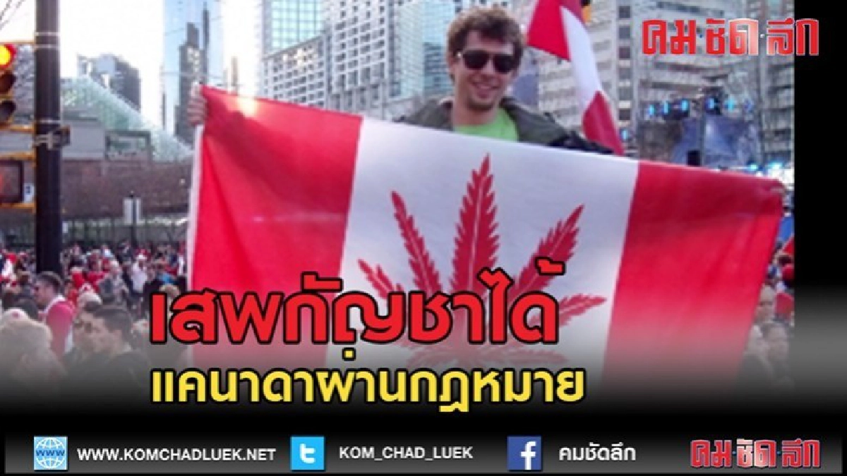 (คลิปข่าว) แคนาดาผ่านกฎหมาย "กัญชา" เพื่อผ่อนคลาย (คลิปข่าว) แคนาดาผ่านกฎหมาย "กัญชา" เพื่อผ่อนคลาย