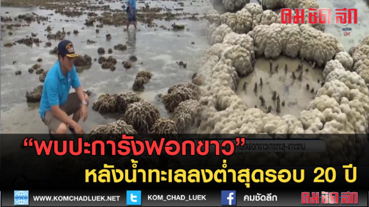 (คลิปข่าว) พบปะการังฟอกขาว หลังน้ำทะเลลงต่ำสุดรอบ 20 ปี (คลิปข่าว) พบปะการังฟอกขาว หลังน้ำทะเลลงต่ำสุดรอบ 20 ปี