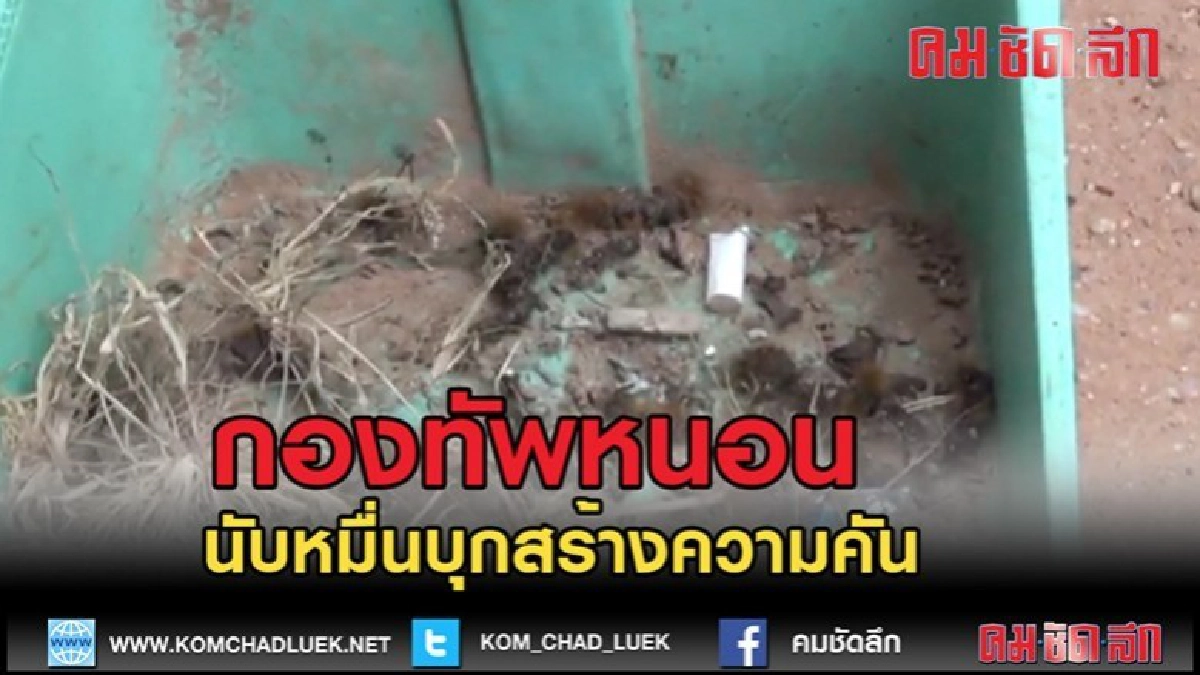 (คลิปข่าว)หนอนนับหมื่นบุกสร้างความเดือดร้อนเกิดโรคคัน