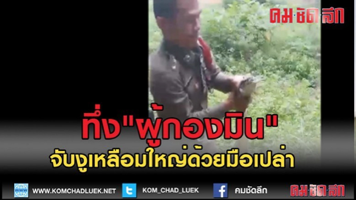 (คลิปข่าว)รอง สวป.นครชุม จับงูเหลือมขนาดใหญ่ด้วยมือเปล่า (คลิปข่าว)รอง สวป.นครชุม จับงูเหลือมขนาดใหญ่ด้วยมือเปล่า