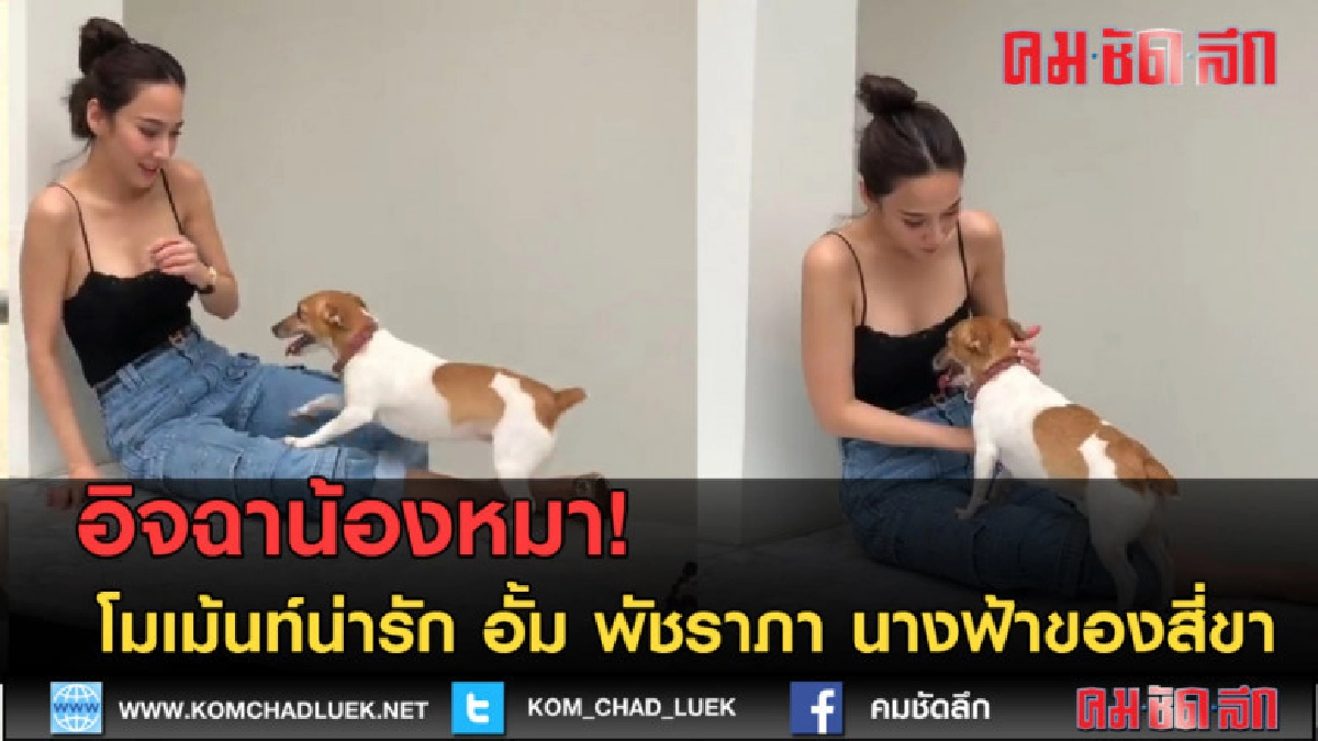 (คลิปข่าว) โมเม้นท์ "อั้ม" นางฟ้าของสี่ขาเห็นเเล้วต้องหลงรัก