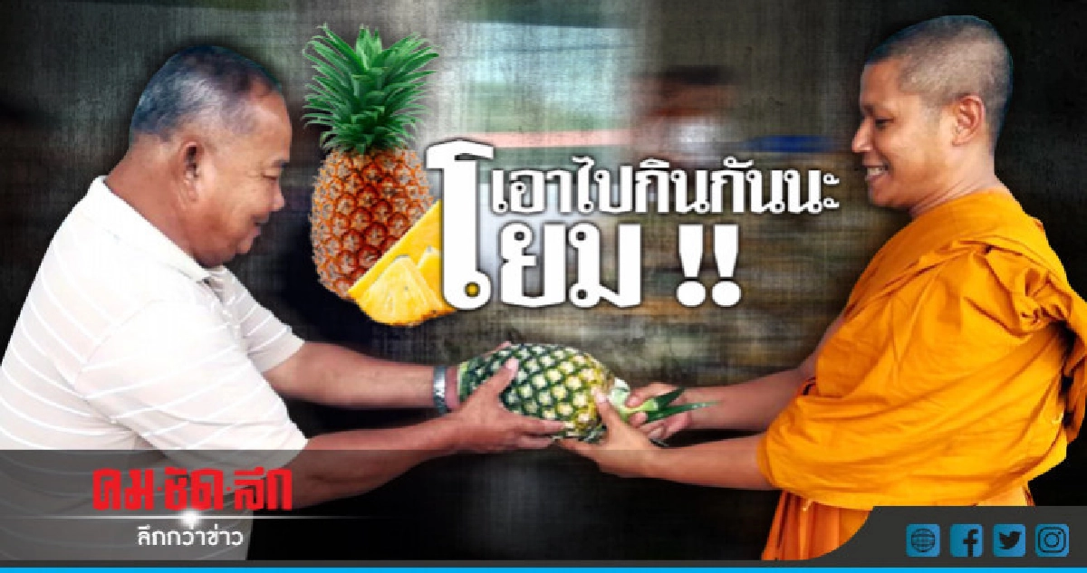 เหมาสับปะรด 5 ตันช่วยเกษตรกร !! เหมาสับปะรด 5 ตันช่วยเกษตรกร !!