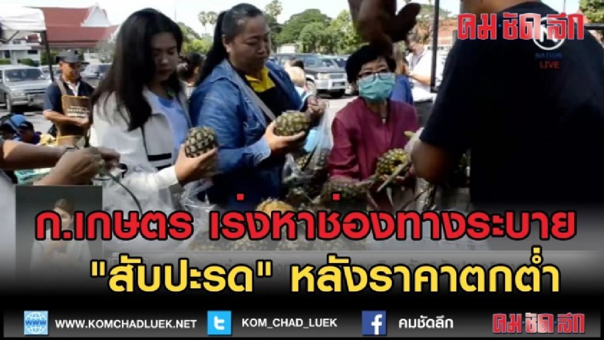 (คลิปข่าว) ก.เกษตร เร่งหาช่องทางระบาย "สับปะรด" หลังราคาตก (คลิปข่าว) ก.เกษตร เร่งหาช่องทางระบาย "สับปะรด" หลังราคาตก