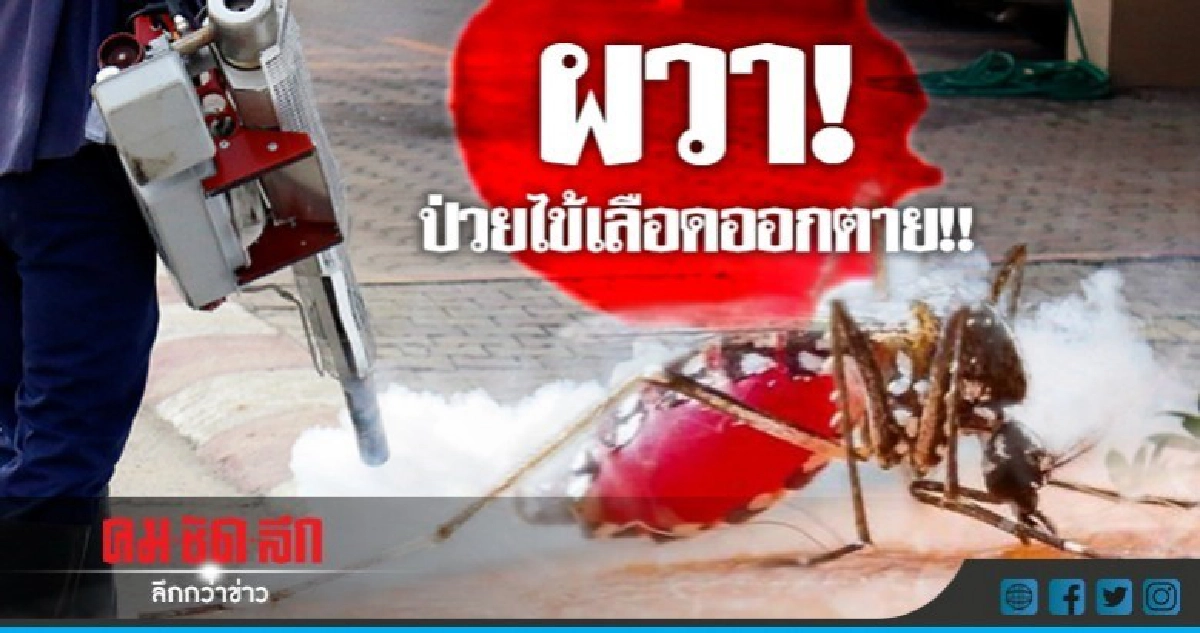 ผวา! เด็ก11ปีป่วยไข้เลือดออกตาย!!
