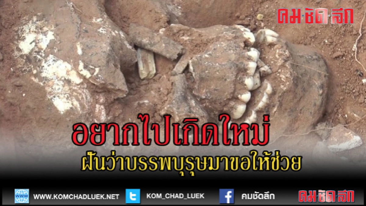 (คลิปข่าว)เข้าฝันอยากไปเกิดใหม่ พบโครงกระดูกอายุเกือบ 100 ปี (คลิปข่าว)เข้าฝันอยากไปเกิดใหม่ พบโครงกระดูกอายุเกือบ 100 ปี