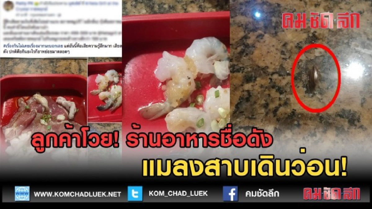 (คลิปข่าว) ลูกค้าโวย! ร้านอาหารชื่อดัง แมลงสาบเดินว่อน! (คลิปข่าว) ลูกค้าโวย! ร้านอาหารชื่อดัง แมลงสาบเดินว่อน!
