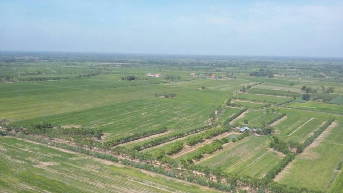 ฝนหลวงฯช่วยทุ่งกุลานาข้าว เร่งปรับแผนช่วยเหลือหลังฝนทิ้งช่วง