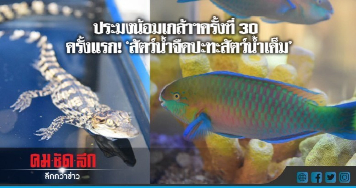 ครั้งแรก! "สัตว์น้ำจืดปะทะสัตว์น้ำเค็ม" ครั้งแรก! "สัตว์น้ำจืดปะทะสัตว์น้ำเค็ม"