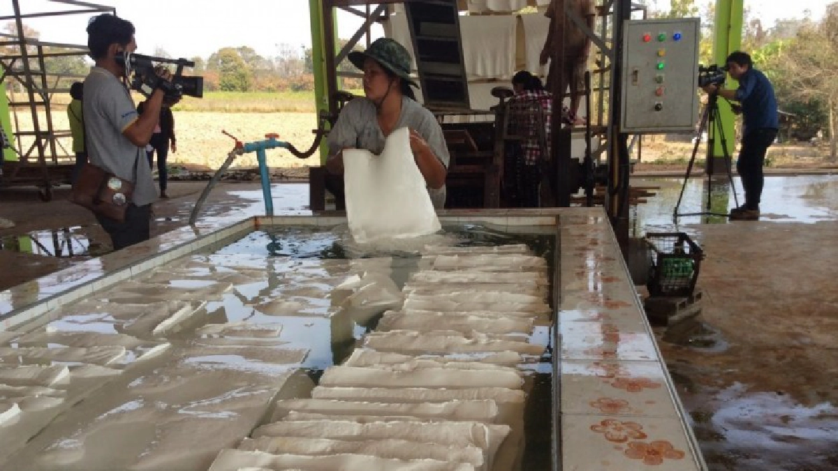 "กฤษฎา" เดินหน้านโยบายตลาดนำการผลิตยางพาราไทย