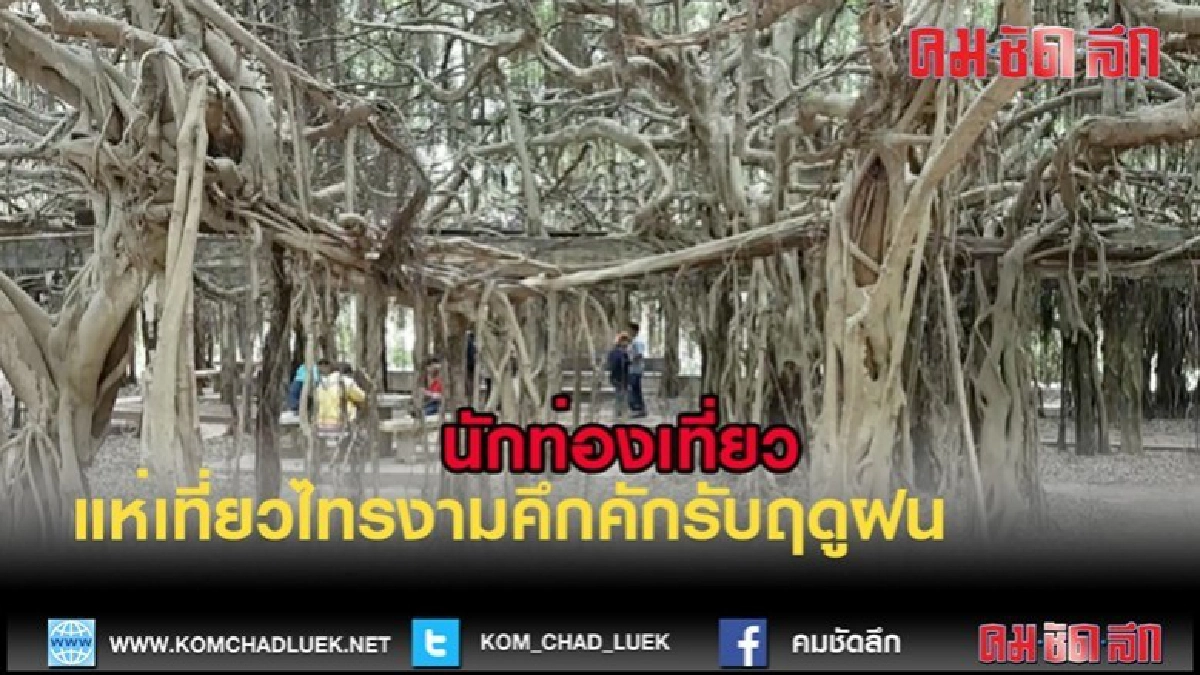 (คลิปข่าว)แห่เที่ยวไทรงามคึกคักรับฤดูฝน