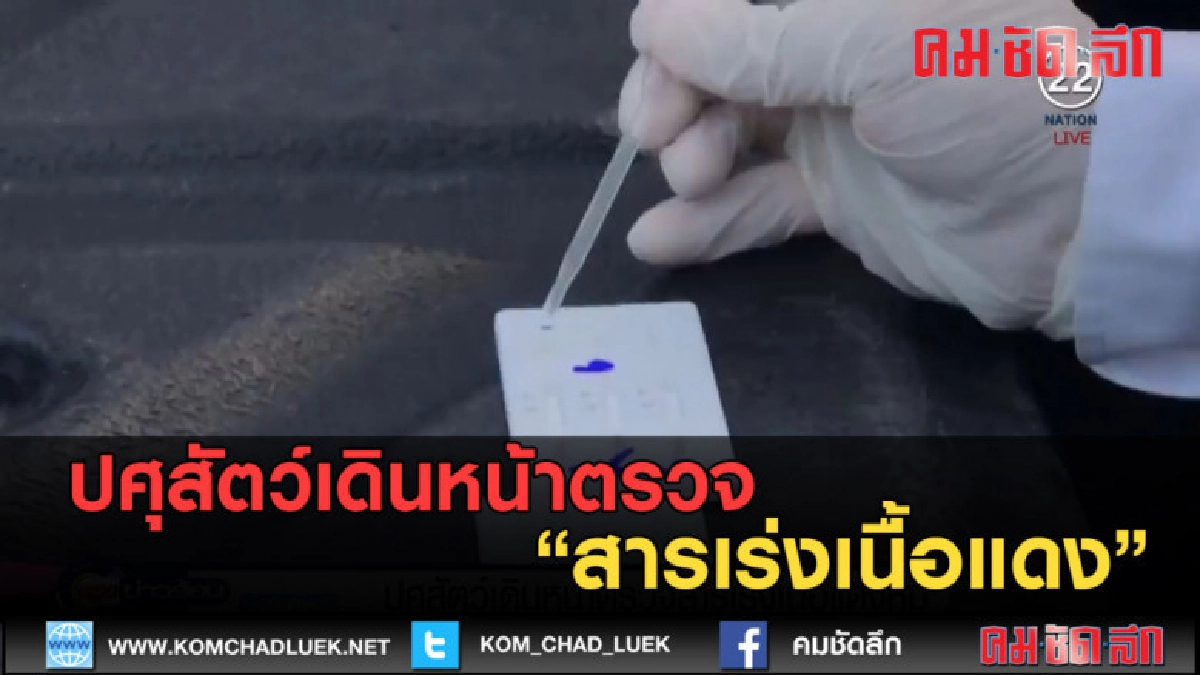 (คลิปข่าว) ปศุสัตว์เดินหน้าตรวจสารเร่งเนื้อแดง (คลิปข่าว) ปศุสัตว์เดินหน้าตรวจสารเร่งเนื้อแดง