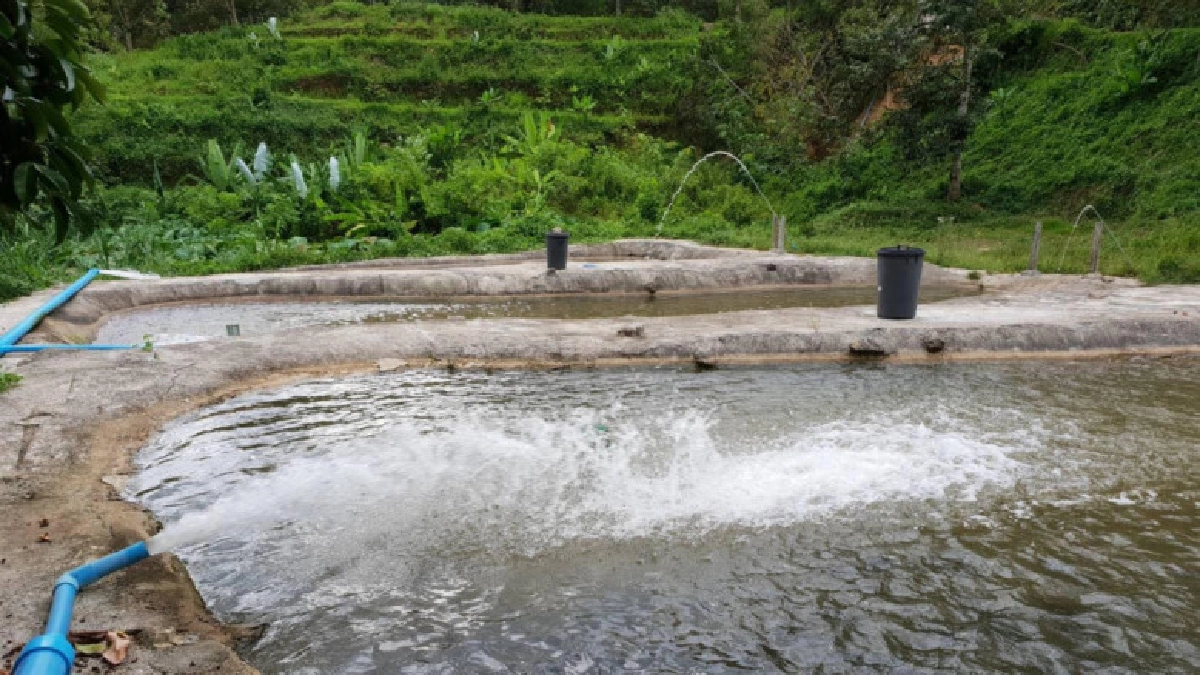    ปิดทองหลังพระฯ จับมือ กรมประมง สานต่องานพระราชดำริ