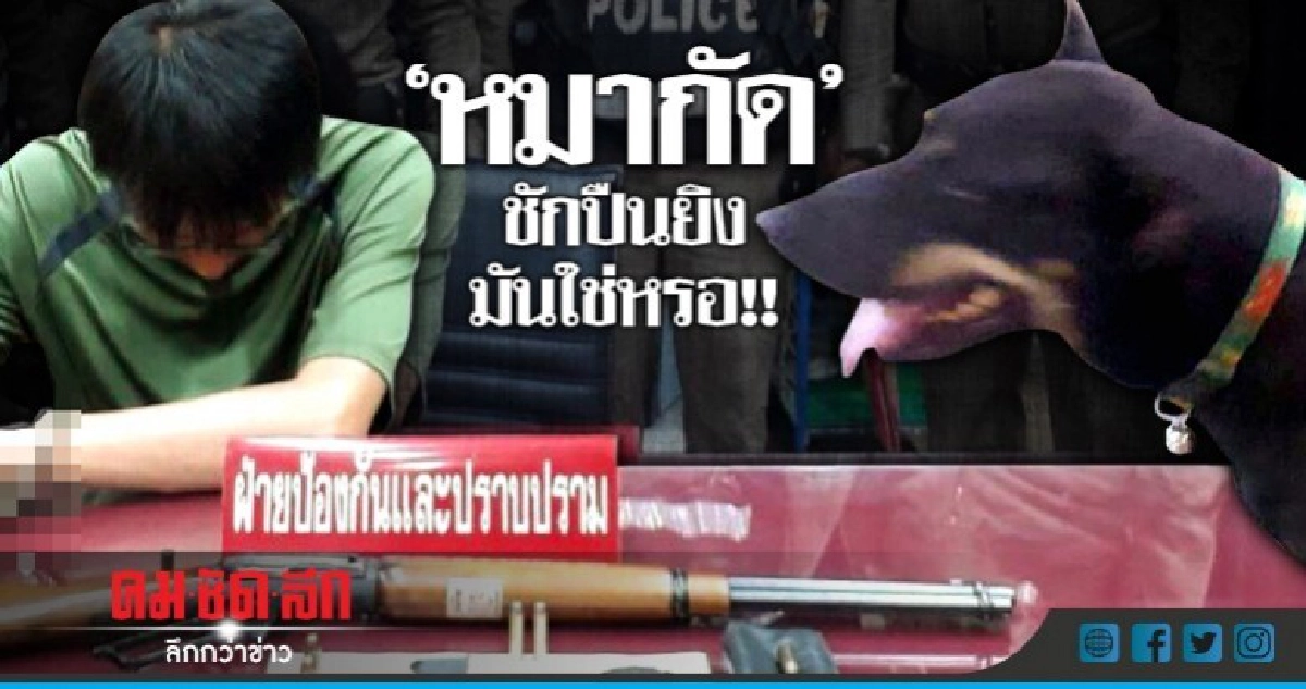 รวบหนุ่มใหญ่!!ชักปืนไล่ยิงสุนัข