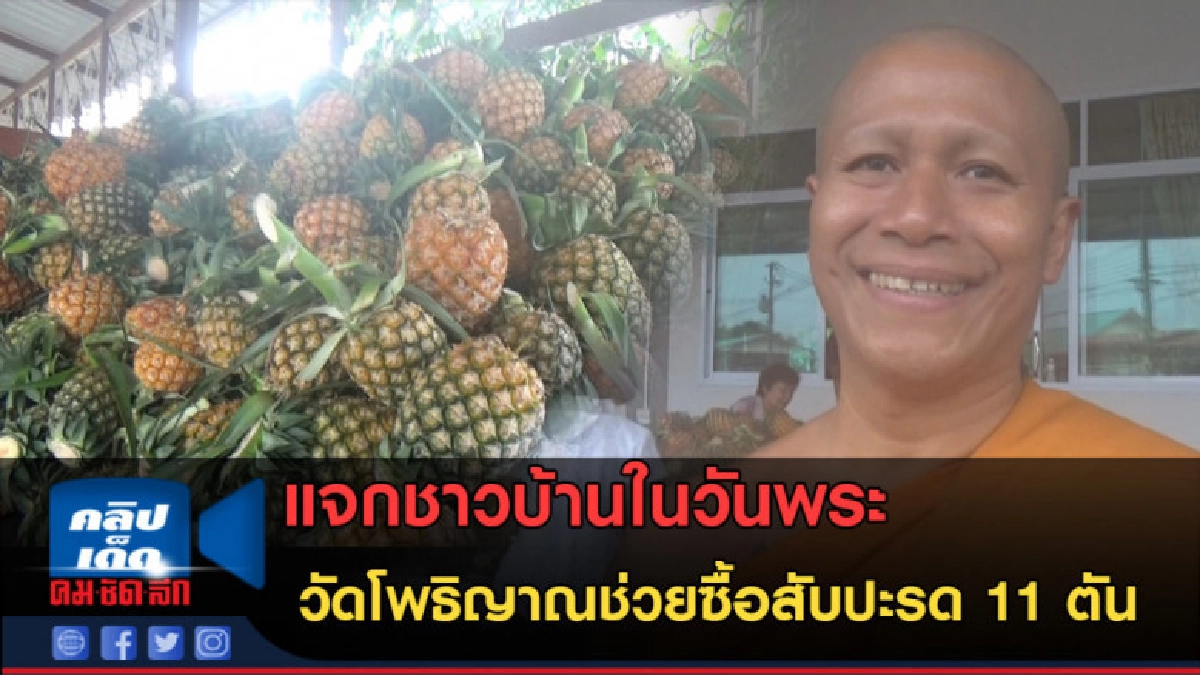 (คลิปข่าว) วัดโพธิญาณช่วยซื้อสับปะรด แจกชาวบ้านในวันพระ (คลิปข่าว) วัดโพธิญาณช่วยซื้อสับปะรด แจกชาวบ้านในวันพระ