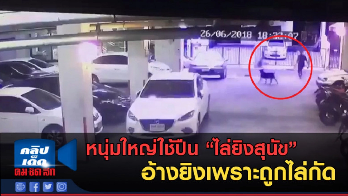 (คลิปข่าว) หนุ่มใหญ่ใช้ปืนไล่ยิงสุนัข อ้างยิงเพราะถูกไล่กัด