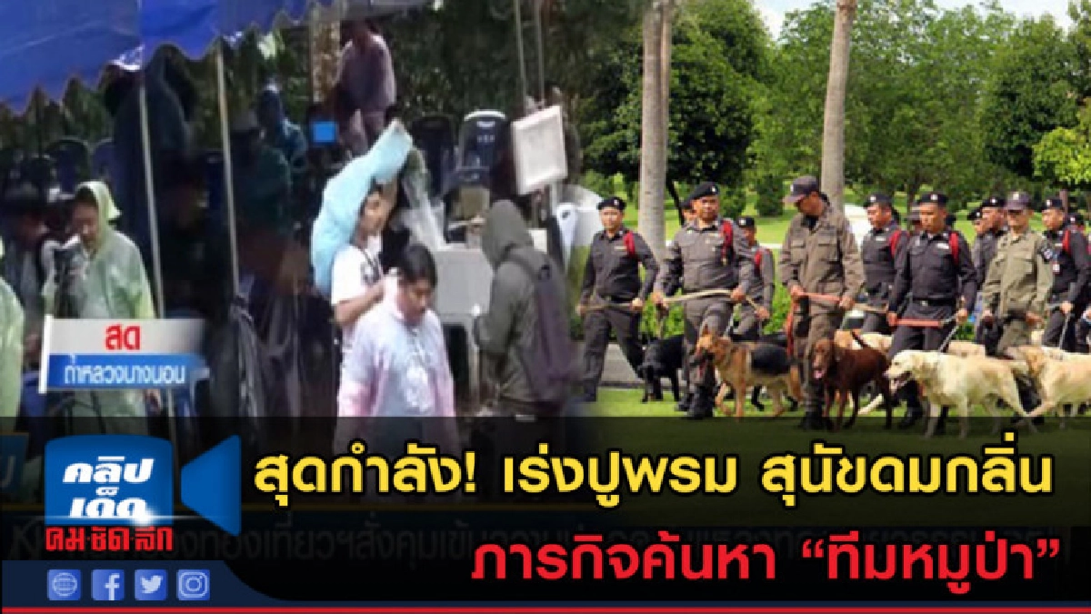 (คลิปข่าว) สุดกำลัง! ระดมสุนัขดมกลิ่นปูพรม ทีมหมูป่า (คลิปข่าว) สุดกำลัง! ระดมสุนัขดมกลิ่นปูพรม ทีมหมูป่า