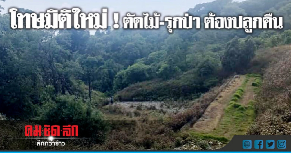 โทษมิติใหม่ !!! "ตัดไม้-รุกป่า"ต้องปลูกคืน โทษมิติใหม่ !!! "ตัดไม้-รุกป่า"ต้องปลูกคืน