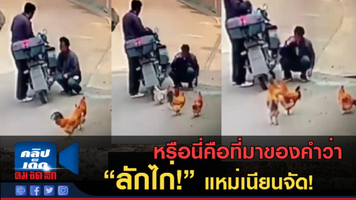 (คลิปข่าว) หรือนี่คือที่มาของคำว่า "ลักไก่!" แหม่เนียนจัด! (คลิปข่าว) หรือนี่คือที่มาของคำว่า "ลักไก่!" แหม่เนียนจัด!