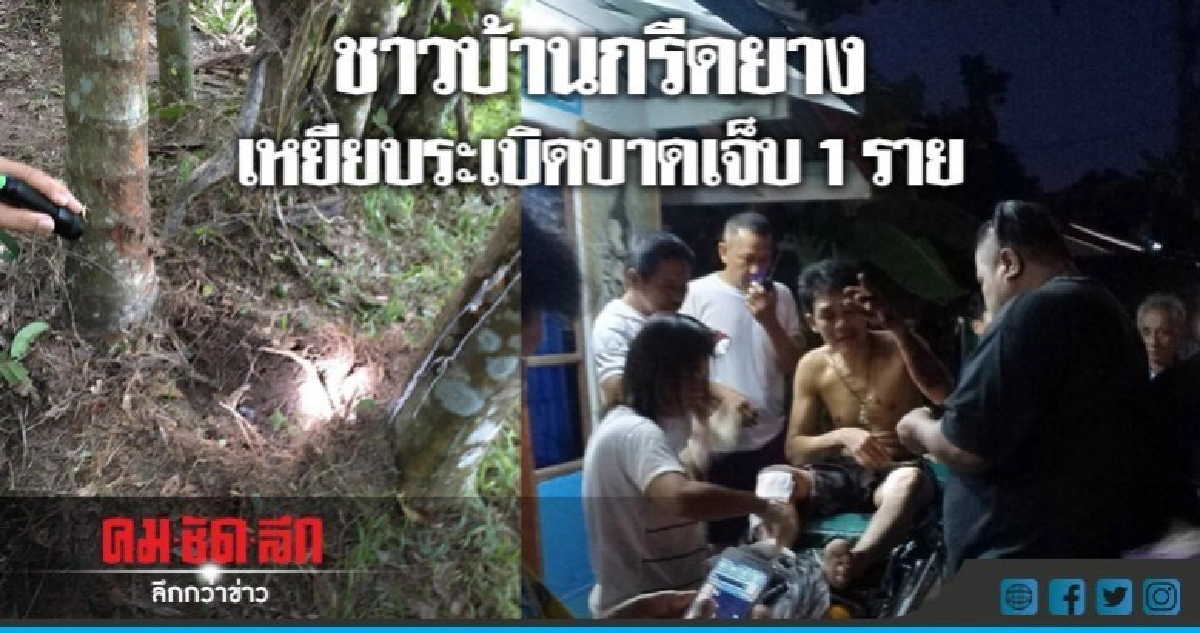 ชาวบ้านกรีดยางเหยียบระเบิดบาดเจ็บ1ราย