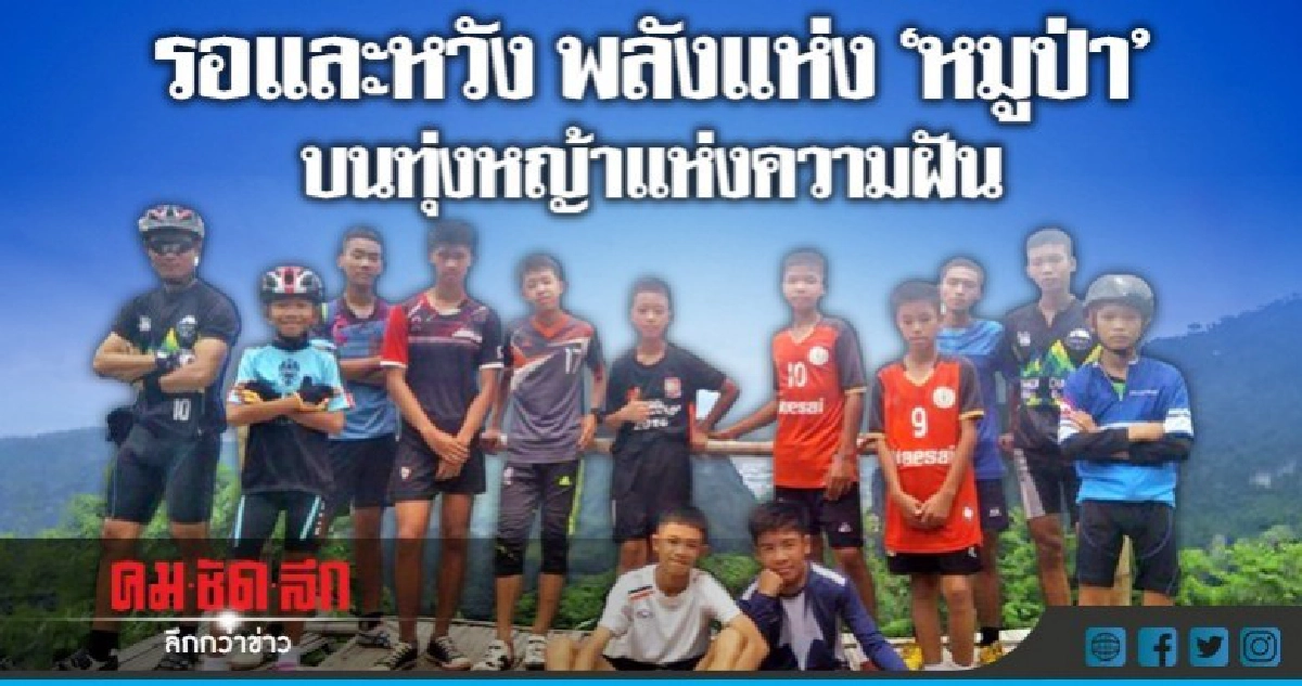 รอและหวัง พลังแห่ง "หมูป่า" บนทุ่งหญ้าแห่งความฝัน