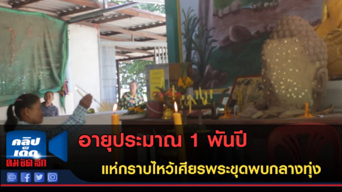  (คลิปข่าว) ชาวบ้านแห่กราบไหว้เศียรพระใหญ่ ขุดพบกลางทุ่งนา