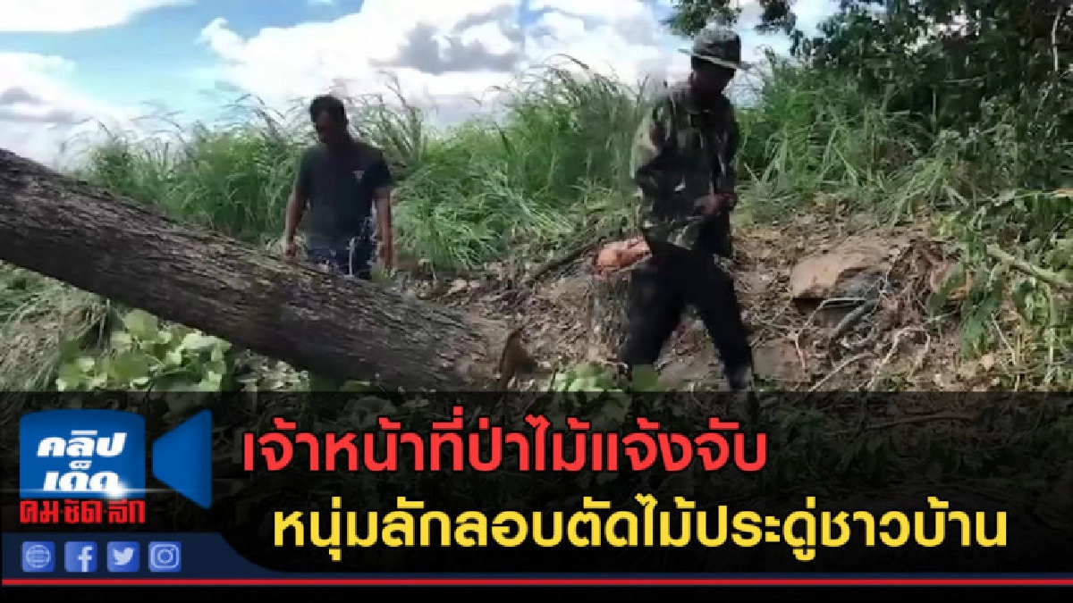(คลิปข่าว) จนท.ป่าไม้แจ้งจับ หนุ่มลักลอบตัดไม้ประดู่ชาวบ้าน 