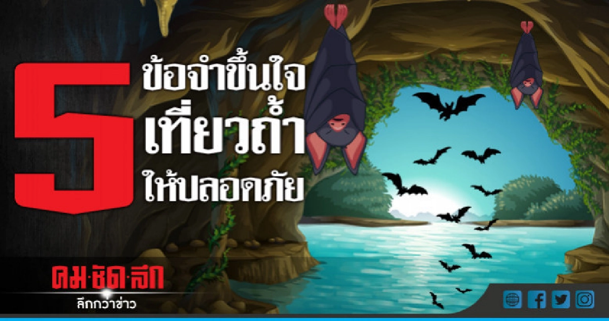 5 วิธีเที่ยวถ้าให้ปลอดภัย (ชมคลิป) 5 วิธีเที่ยวถ้าให้ปลอดภัย (ชมคลิป)
