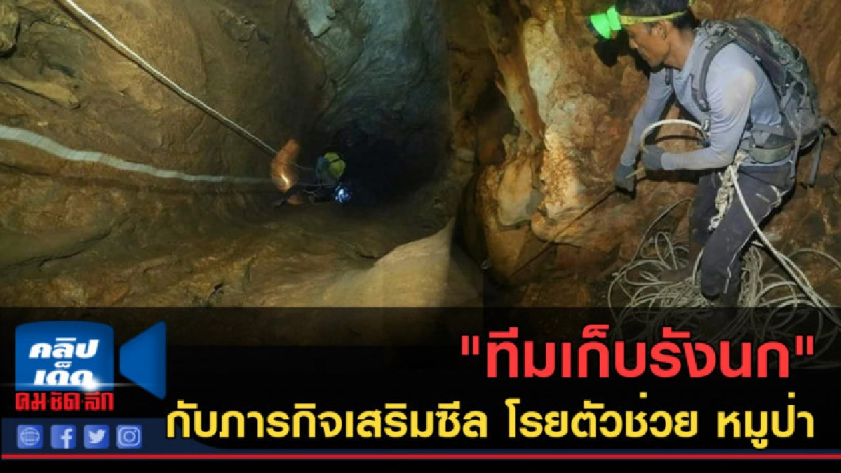(คลิปข่าว) "ทีมเก็บรังนก" กับภารกิจใหม่ โรยตัวช่วย "หมูป่า" (คลิปข่าว) "ทีมเก็บรังนก" กับภารกิจใหม่ โรยตัวช่วย "หมูป่า"