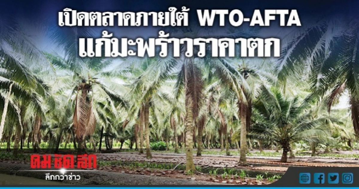 เปิดตลาดภายใต้ WTO-AFTA แก้มะพร้าวราคาตก เปิดตลาดภายใต้ WTO-AFTA แก้มะพร้าวราคาตก