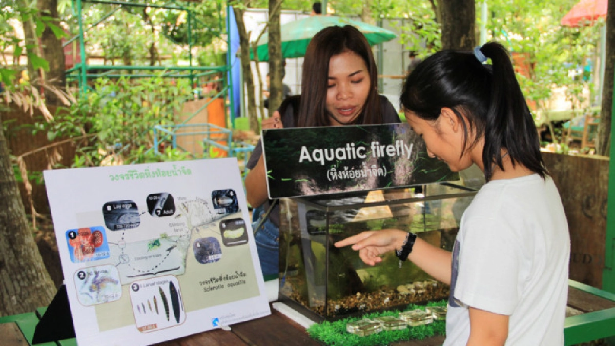 ตลาดน้ำบางน้ำผึ้งจัดกิจกรรมวันหิ่งห้อยโลก 