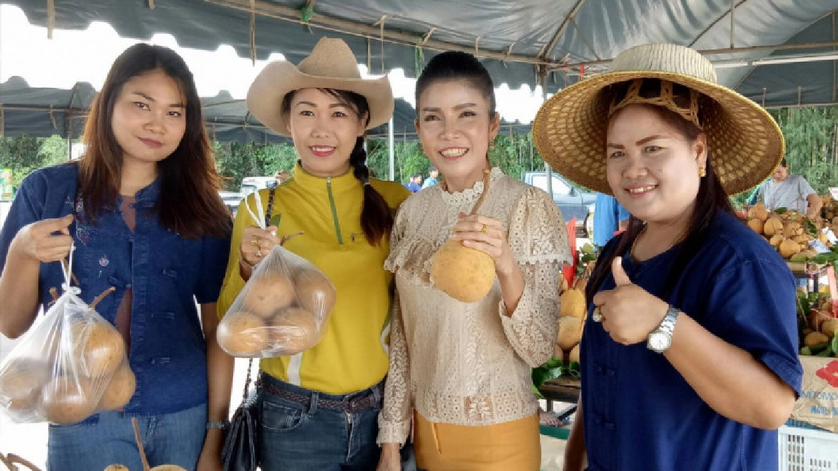 เที่ยวงานวันกระท้อนหวาน ที่ปราจีนบุรี เที่ยวงานวันกระท้อนหวาน ที่ปราจีนบุรี