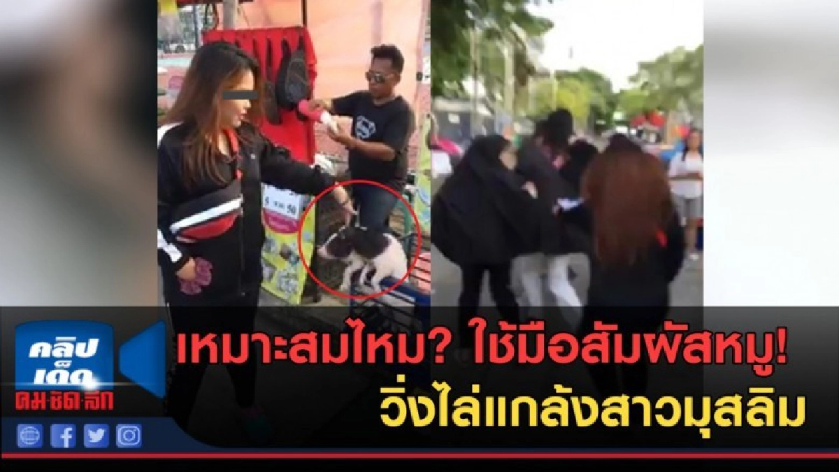 (คลิปข่าว) ใช้มือไปสัมผัสหมู แล้ววิ่งไล่สัมผัสหญิงสาวมุสลิม (คลิปข่าว) ใช้มือไปสัมผัสหมู แล้ววิ่งไล่สัมผัสหญิงสาวมุสลิม