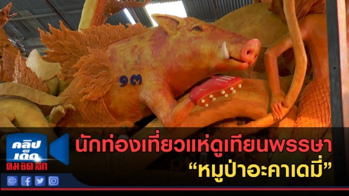 (คลิปข่าว) นักท่องเที่ยวแห่ดูเทียนพรรษา "หมูป่าอะคาเดมี่"